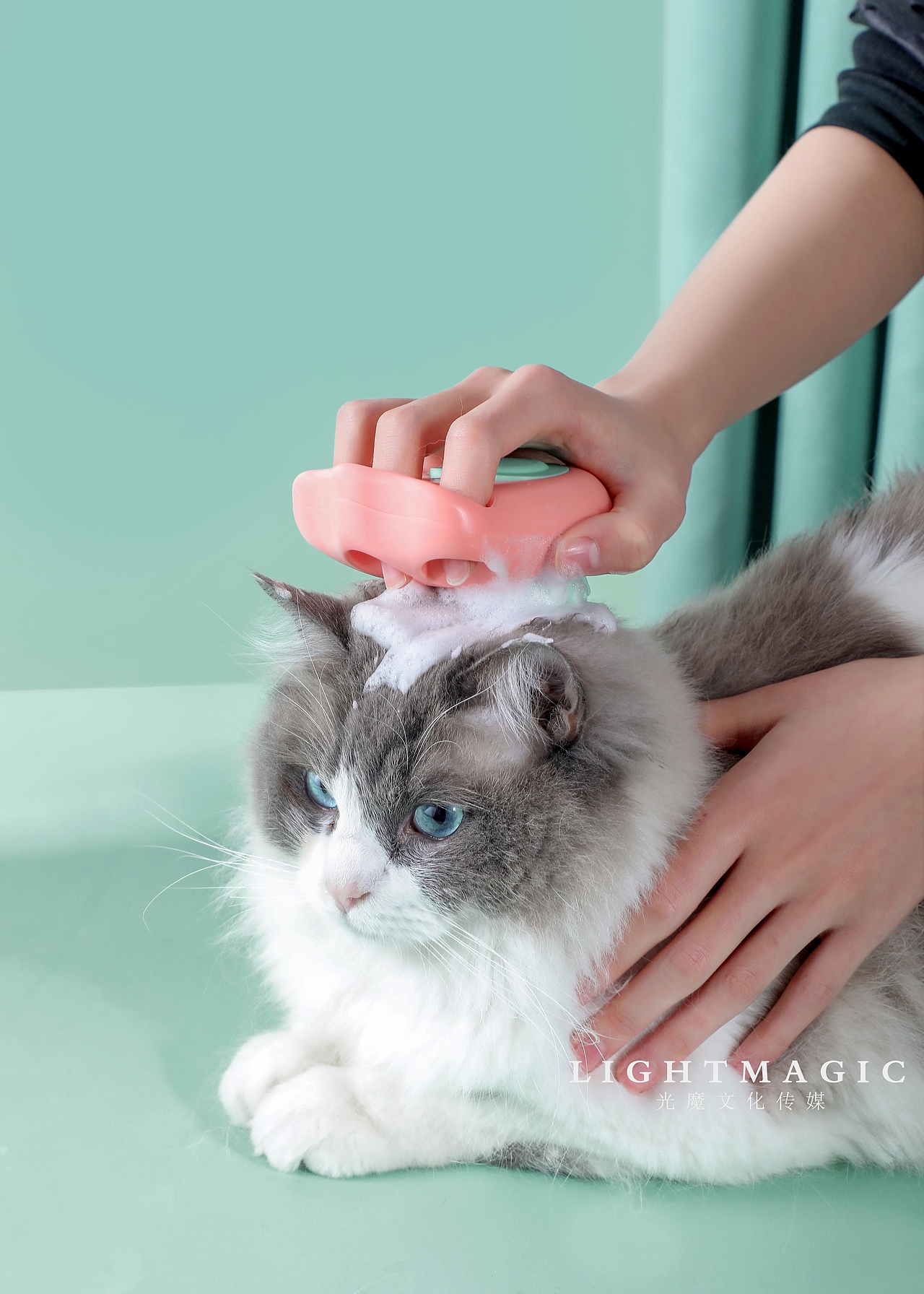 宠物刷宠物用品