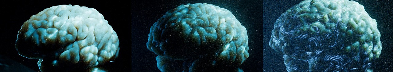 脑新生 动态设计（图ZMzE1MTEzOTY0） - 人物/生物 - 站酷设计师omoolab原创素材 - 站酷ZCOOL