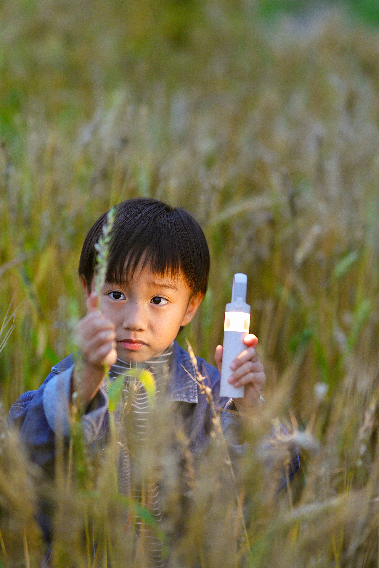 罗洞工匠小镇-金色稻田(上)