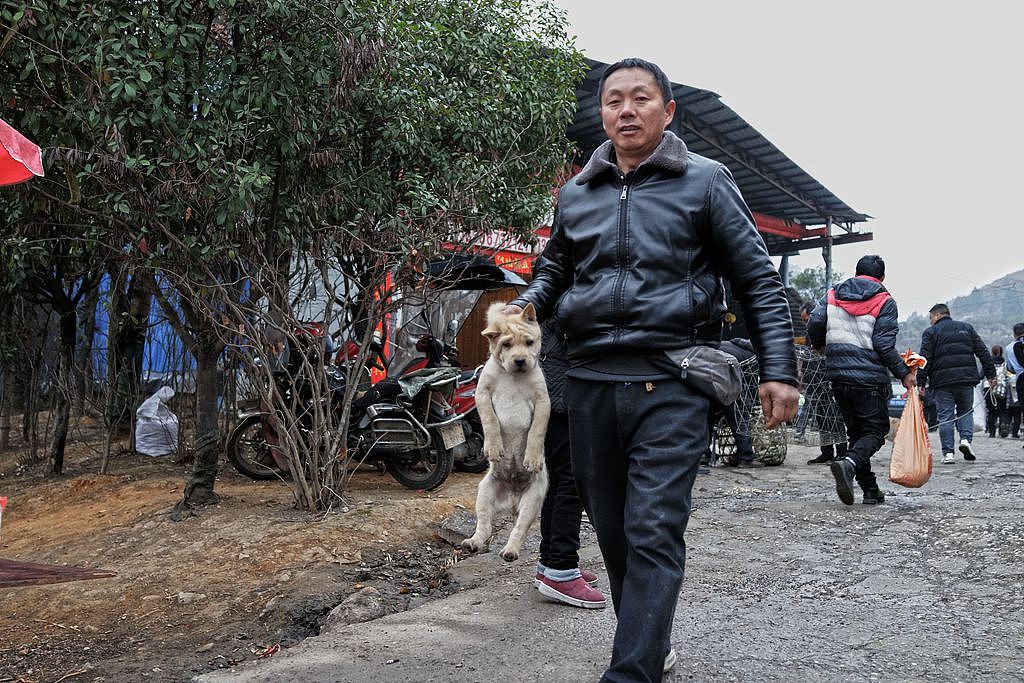 【贵州最大的露天集市——下司集】（图ZMzM2MTAxMDE2） - 人文/纪实摄影 - 站酷设计师子禾哥哥原创素材 - 站酷ZCOOL