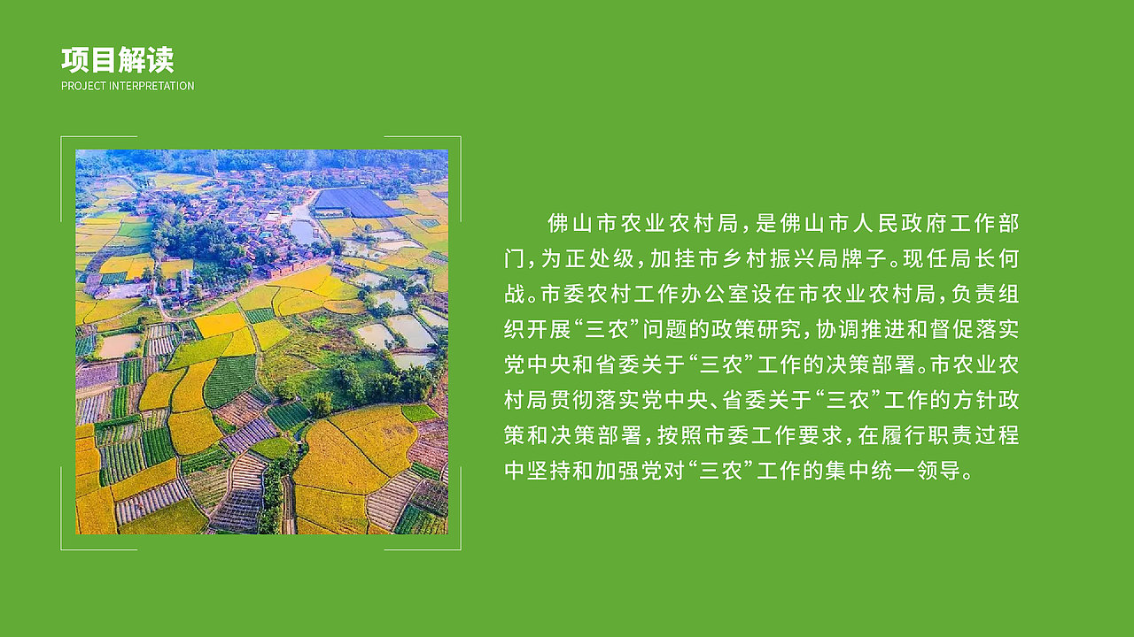 品牌设计 | 佛山农业农村局 | 政企logo | 升级优化