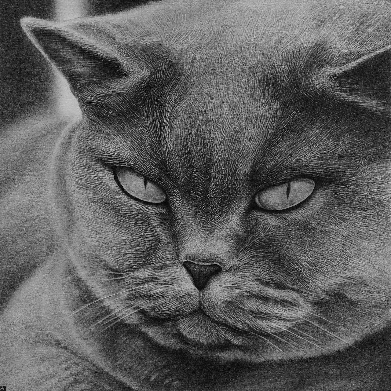 喵星人精微素描合集