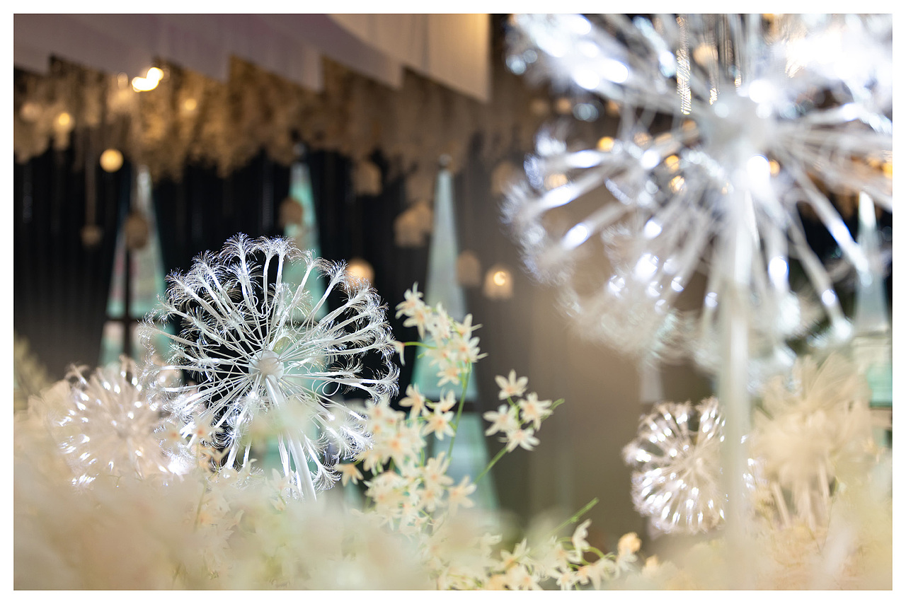 每天都有喜事发生~