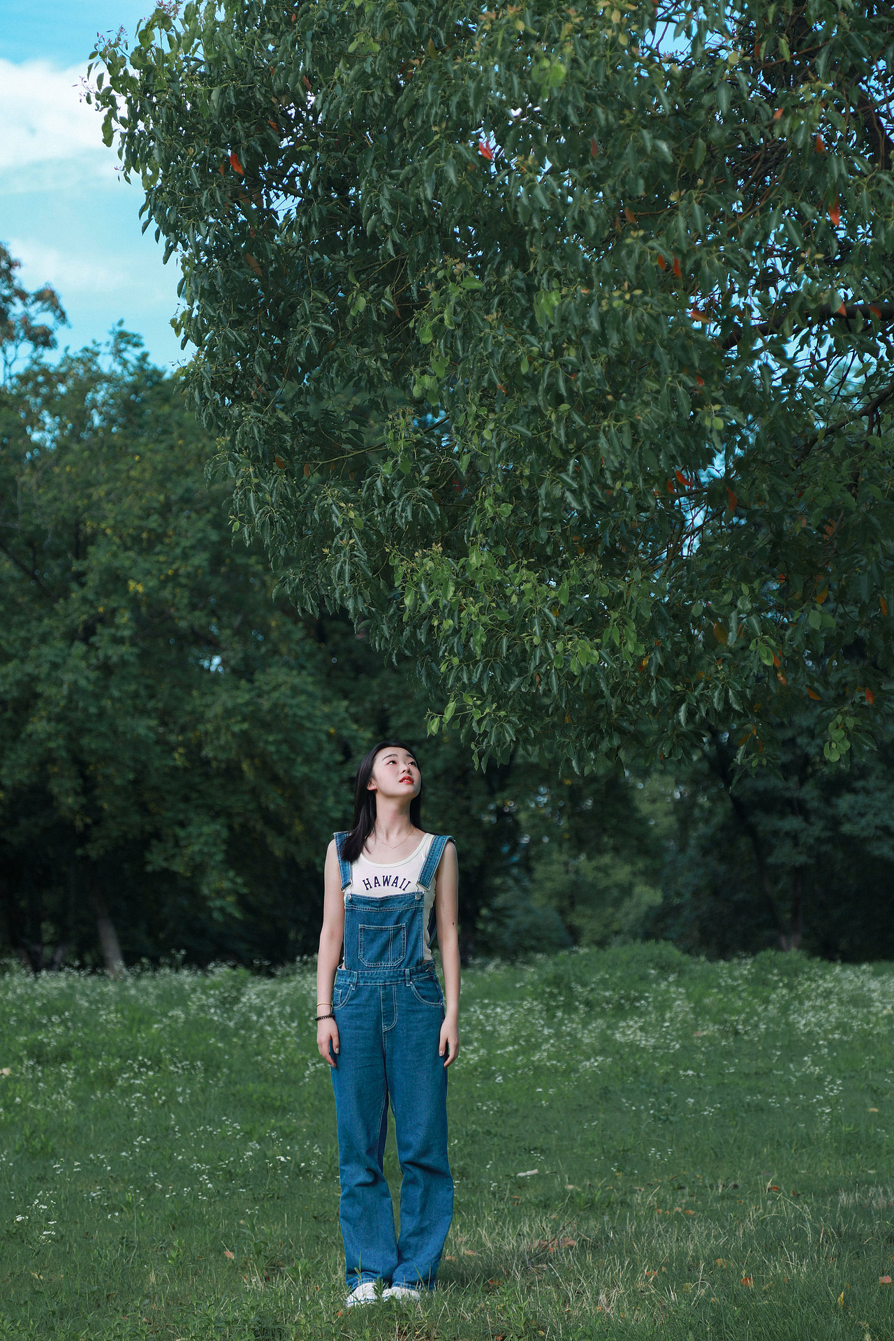 在冬日想念夏日