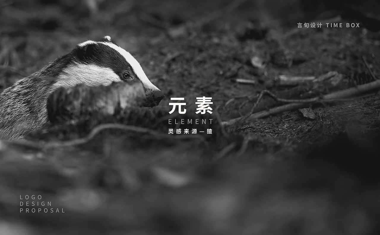 猹茶（图ZMzI3MDkzMDg4） - 品牌 - 站酷设计师言旬创意设计原创素材 - 站酷ZCOOL