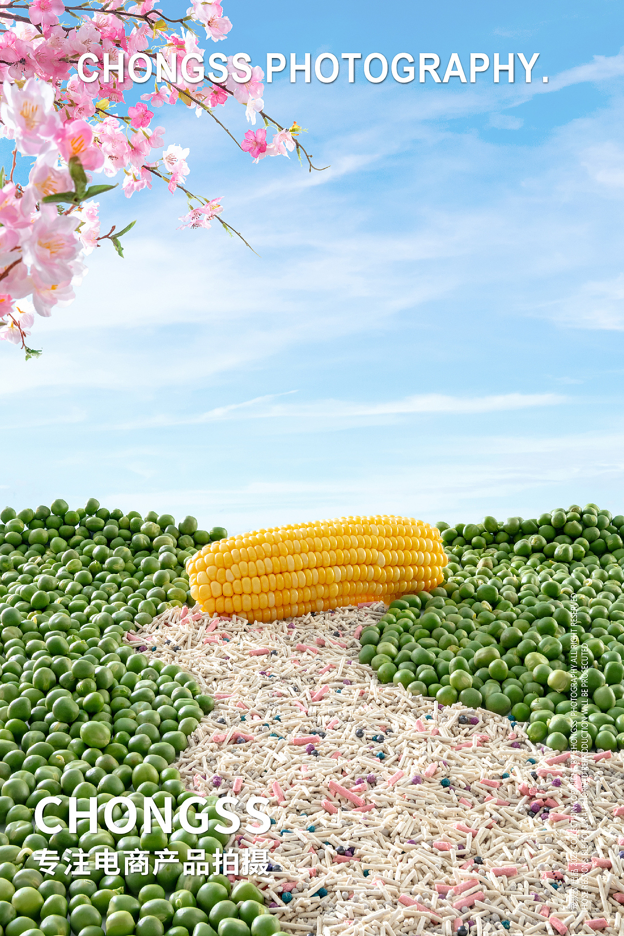 宠物产品摄影|宠叔叔 X 魔格