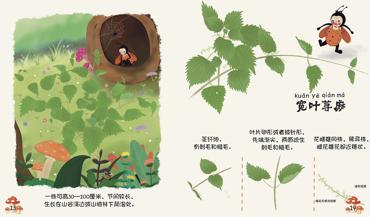 科普绘本：《嗨！荨麻》（图ZMzMwMDMwMTcy） - 绘本 - 站酷设计师BuGui不归原创素材 - 站酷ZCOOL