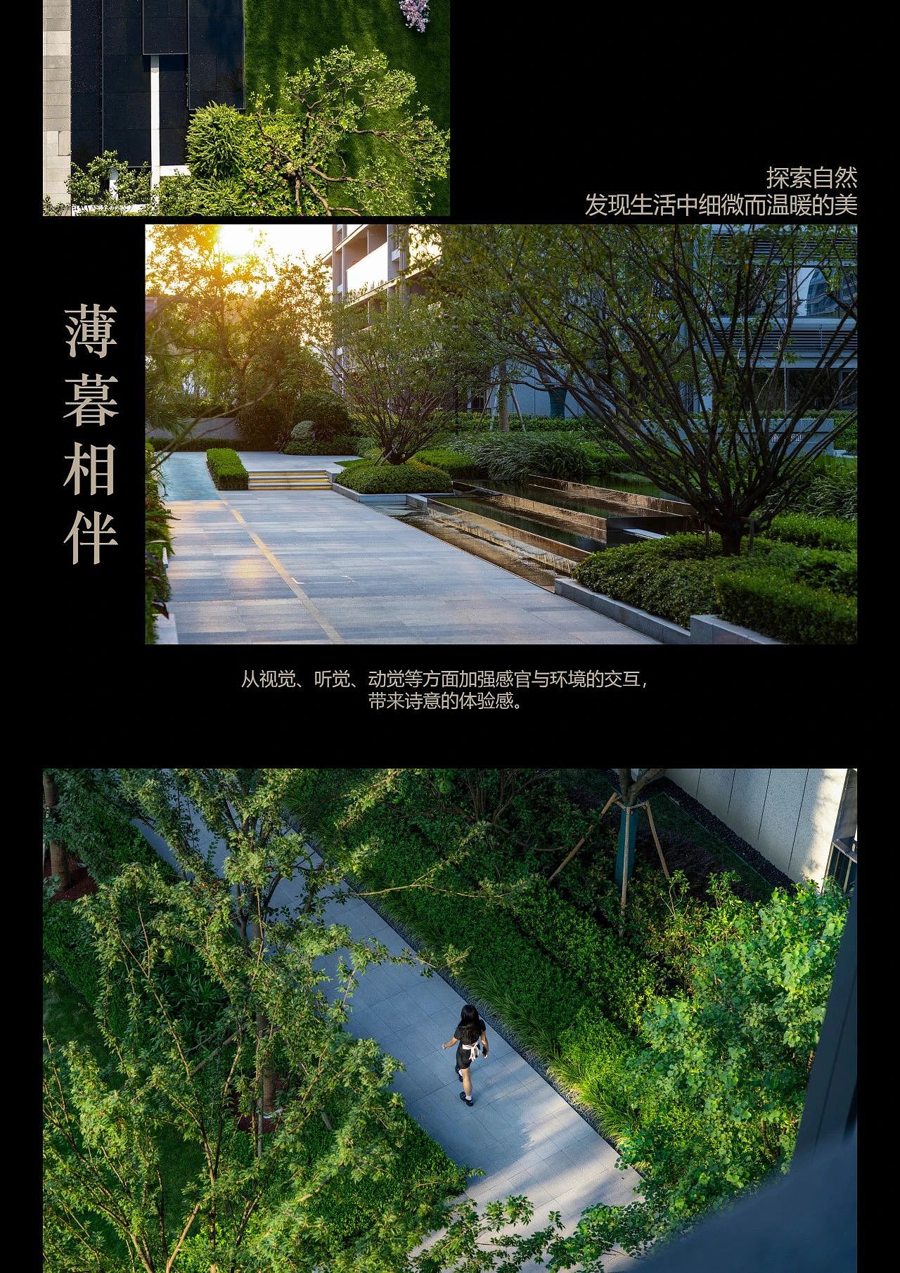 MUSUN·兴耀·花曜里 | 出尘繁华 乐享生活