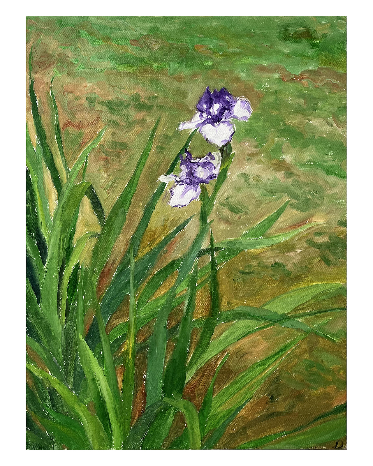 近期油画作品合集