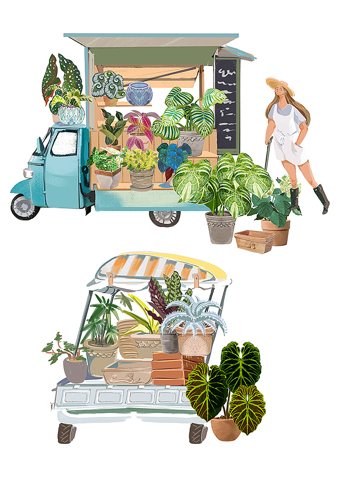 我爱热植的每一天