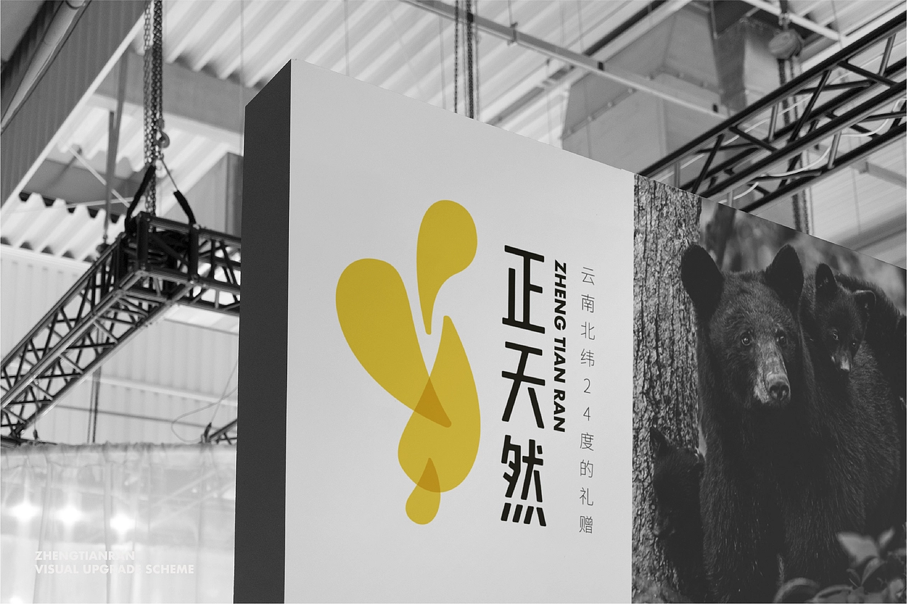 保健品品牌VIS设计案例