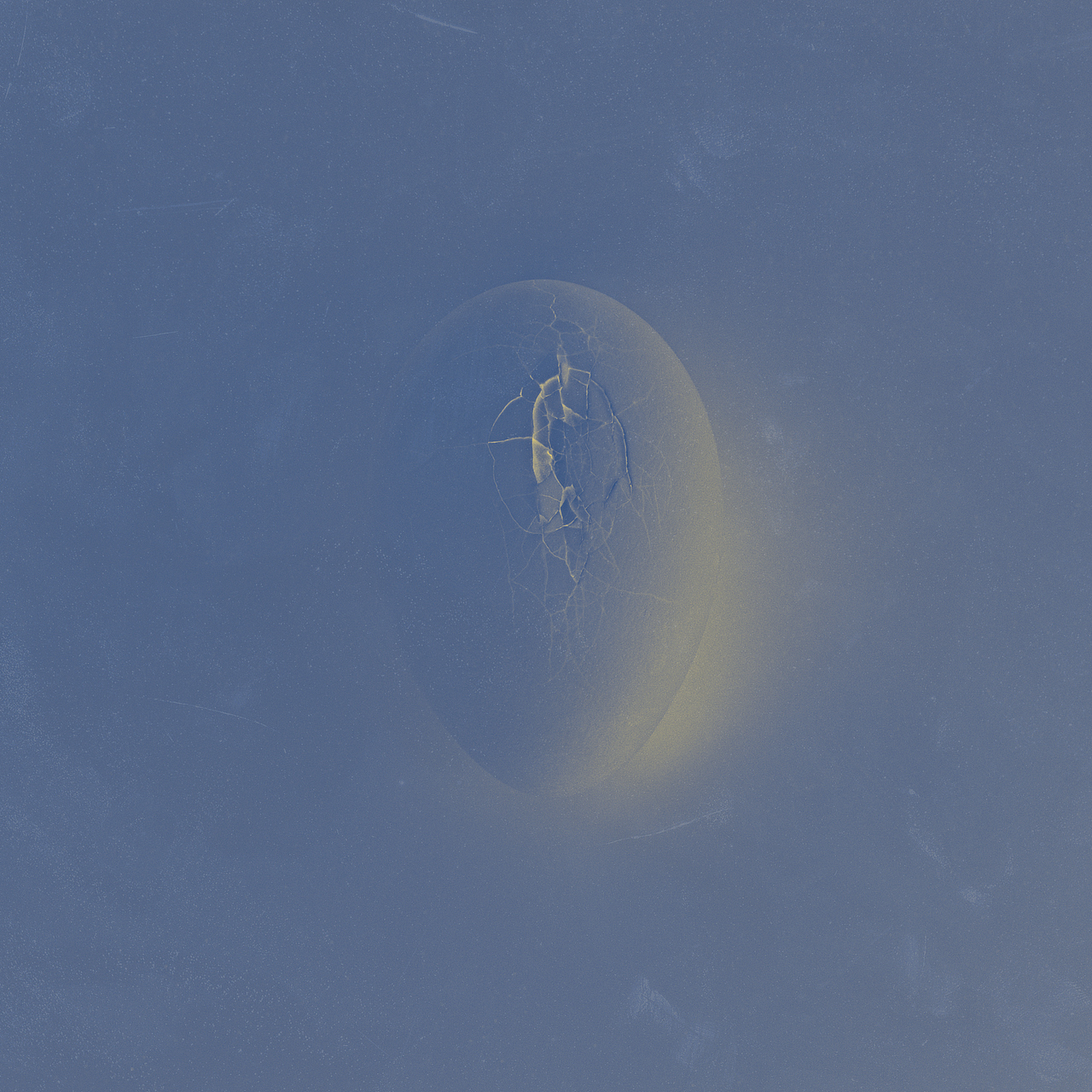 海龟先生「死不回头」