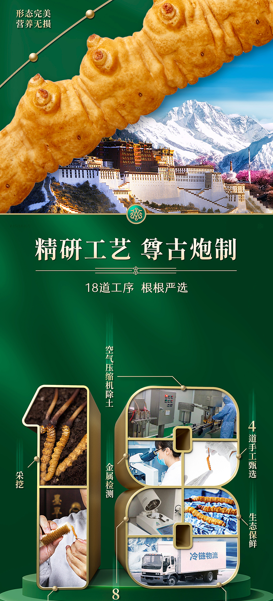 虫草|阿依舍|电商详情页设计