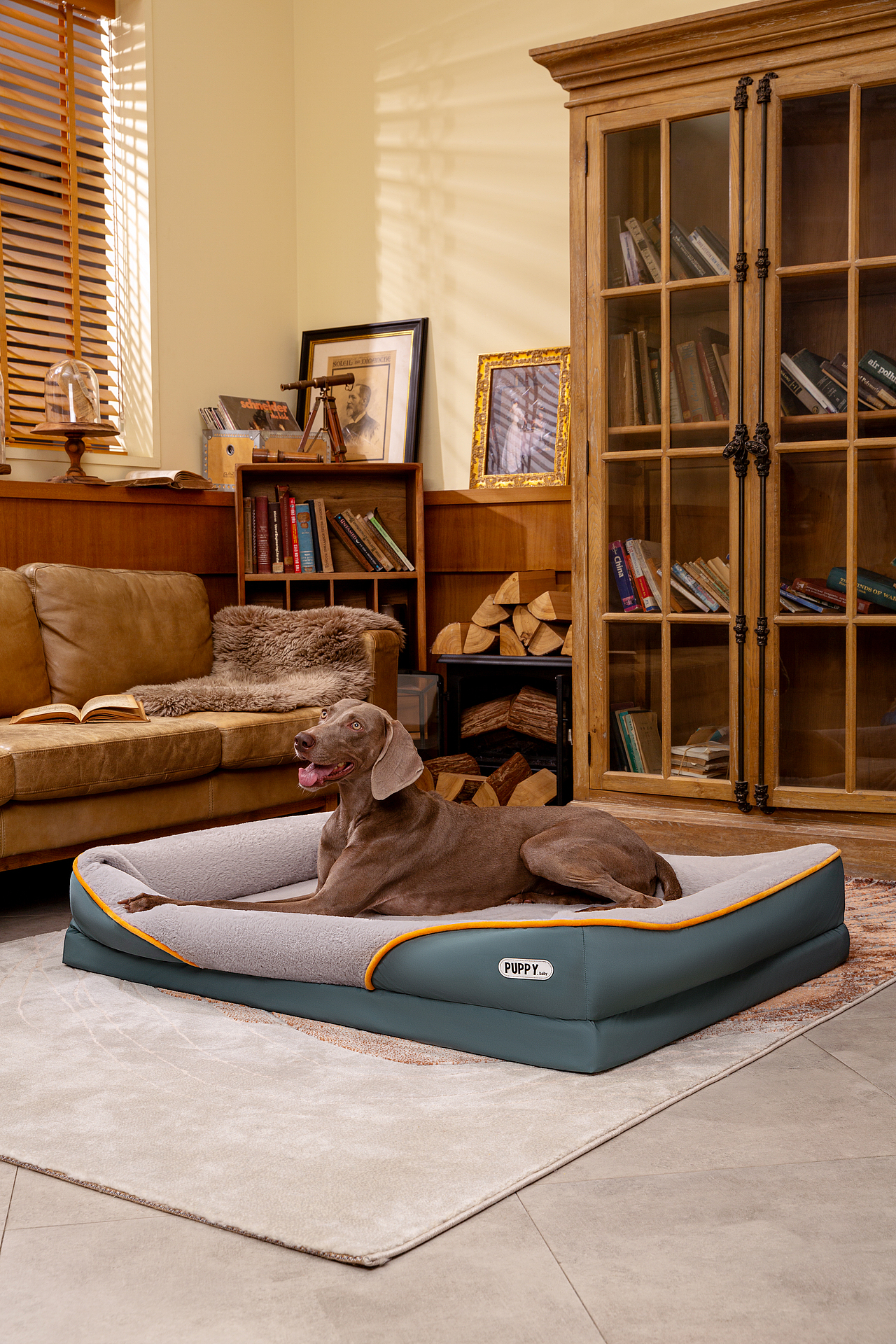 宠物窝摄影（图ZMzQ2Nzg1ODky） - 产品摄影 - 站酷设计师一木光影原创素材 - 站酷ZCOOL