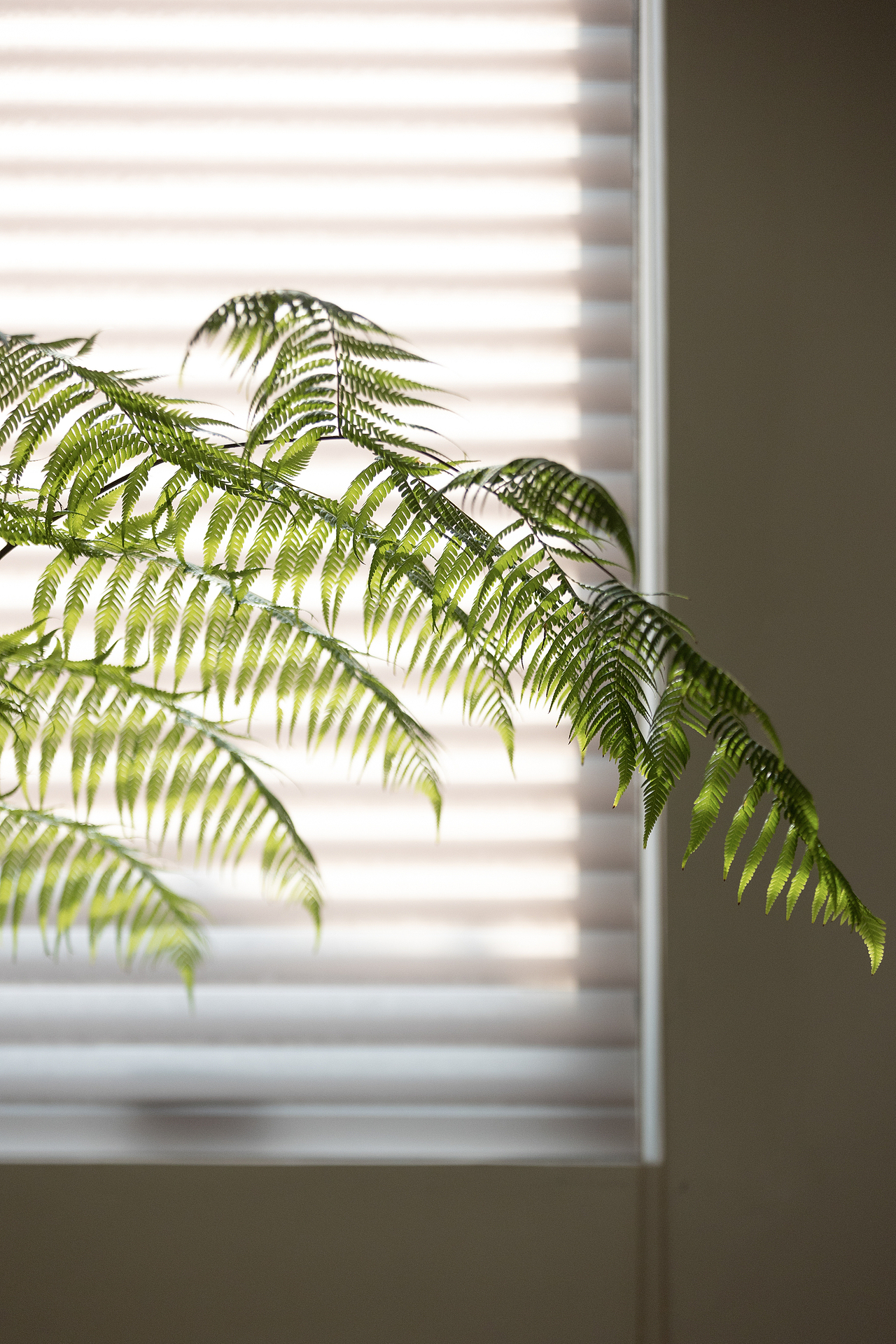 多少MoreLess家具空间植物设计｜空间摄影（图ZMzM5OTc4NjI4） - 环境/建筑摄影 - 站酷设计师张锦影像工作室原创素材 - 站酷ZCOOL