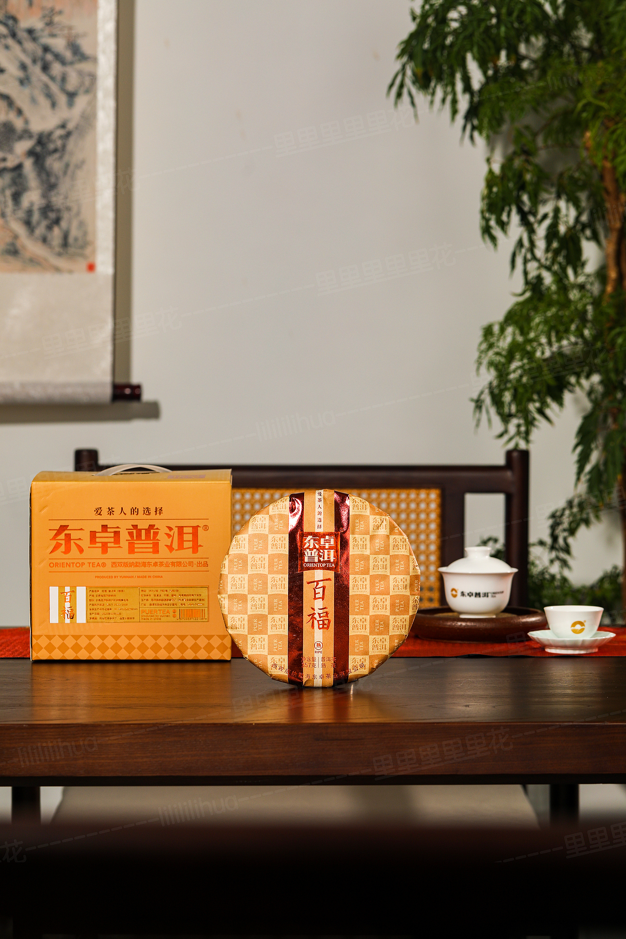 2024年 3月普洱茶拍摄