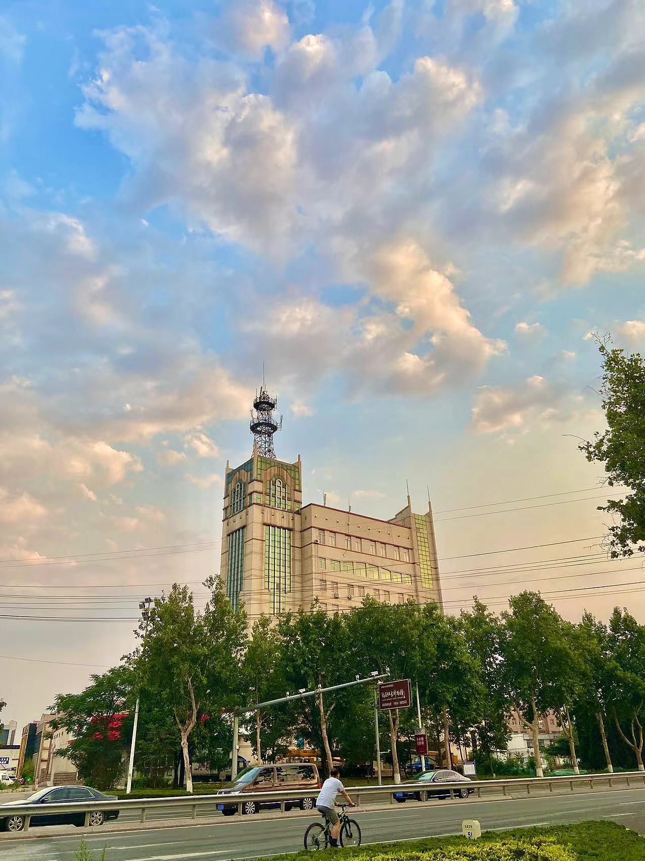 手机拍照日常,调色4