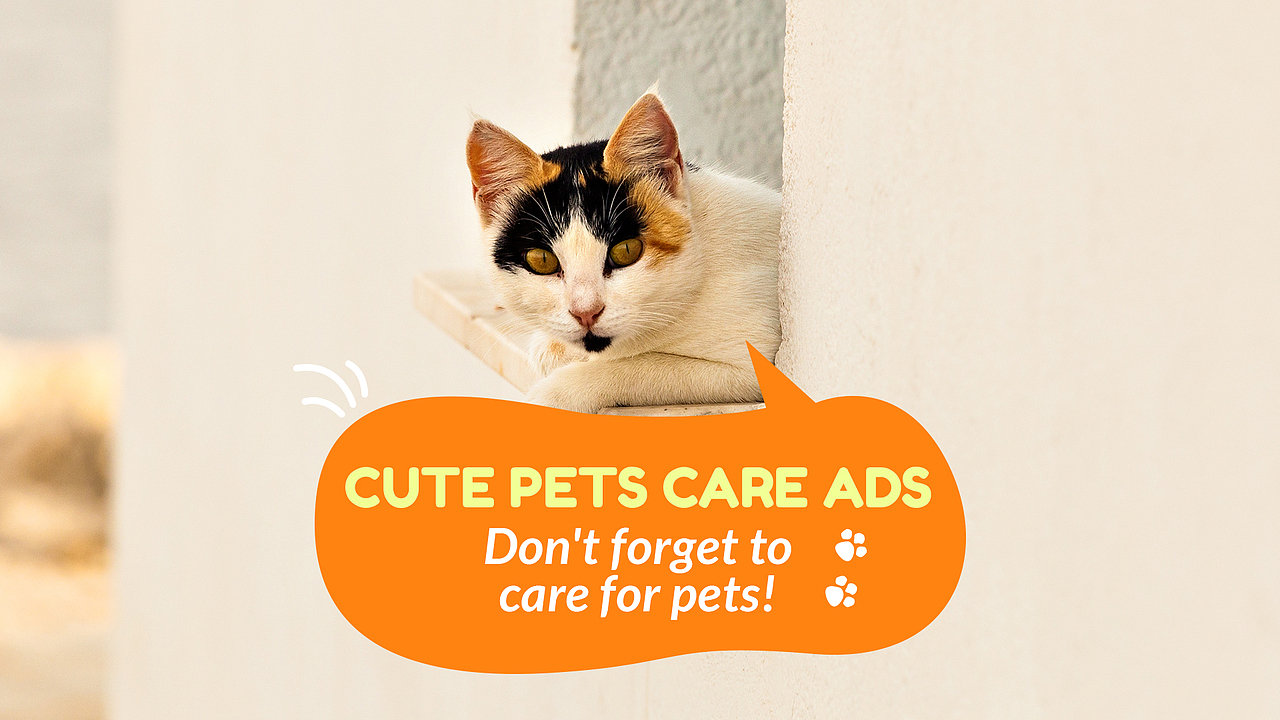 网页动画包装-可爱的宠物护理广告（图ZMzM5OTAzNjA0） - 电商 - 站酷设计师饼干块儿原创素材 - 站酷ZCOOL