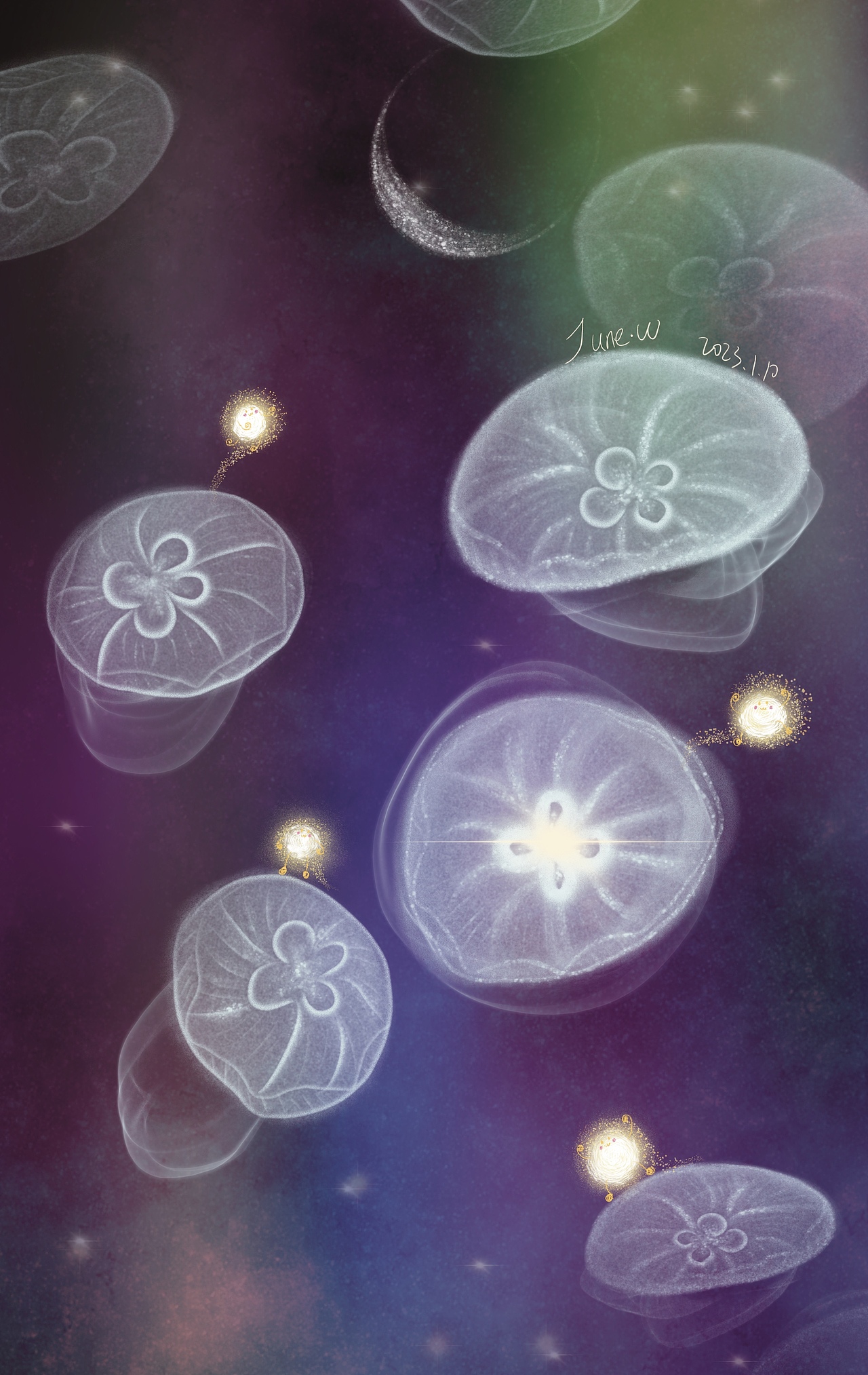 异世界：水母精灵系列（图ZMzI3NTUzMzY4） - 艺术插画 - 站酷设计师JuneW原创素材 - 站酷ZCOOL