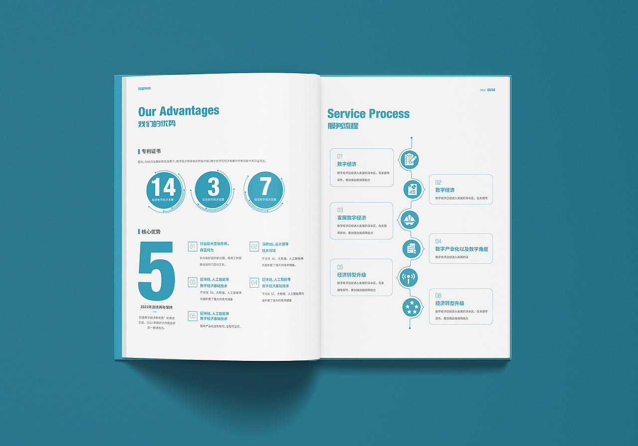 画册设计-企业宣传册设计（图ZMzExMTk2Mzgw） - 书籍/画册 - 站酷设计师森蓝的设计原创素材 - 站酷ZCOOL