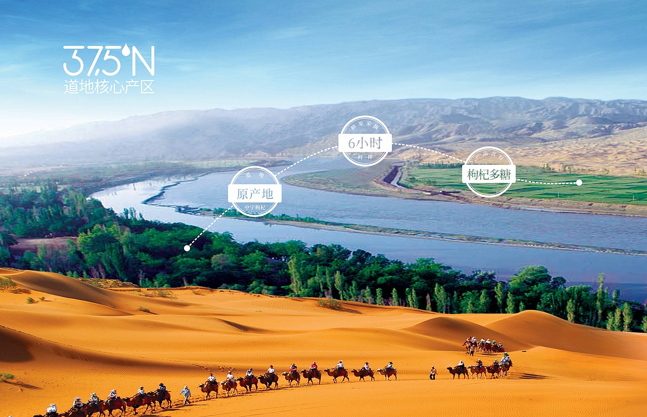 茨乡里枸杞原浆包装设计