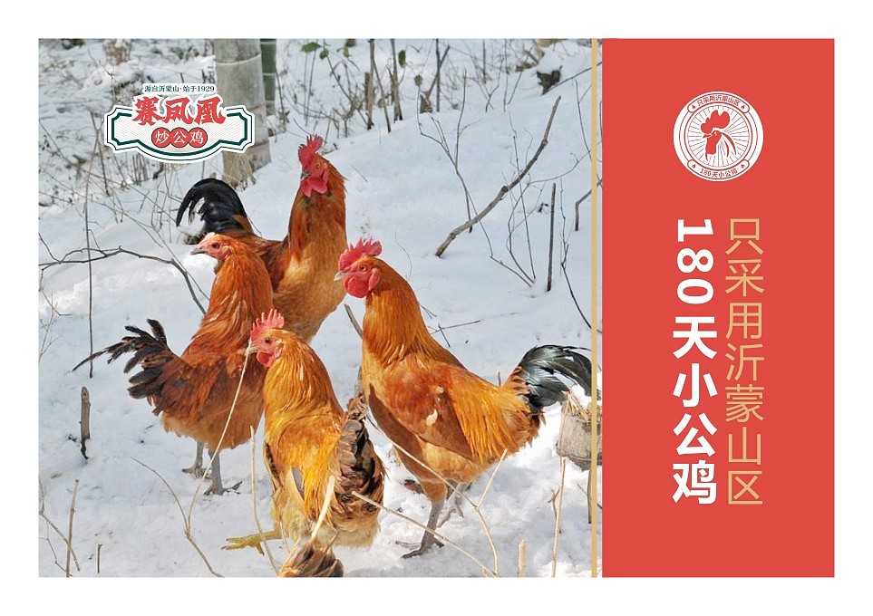 赛凤凰炒公鸡（图ZMzE3MDk0MDQ0） - 品牌 - 站酷设计师阿七设计原创素材 - 站酷ZCOOL