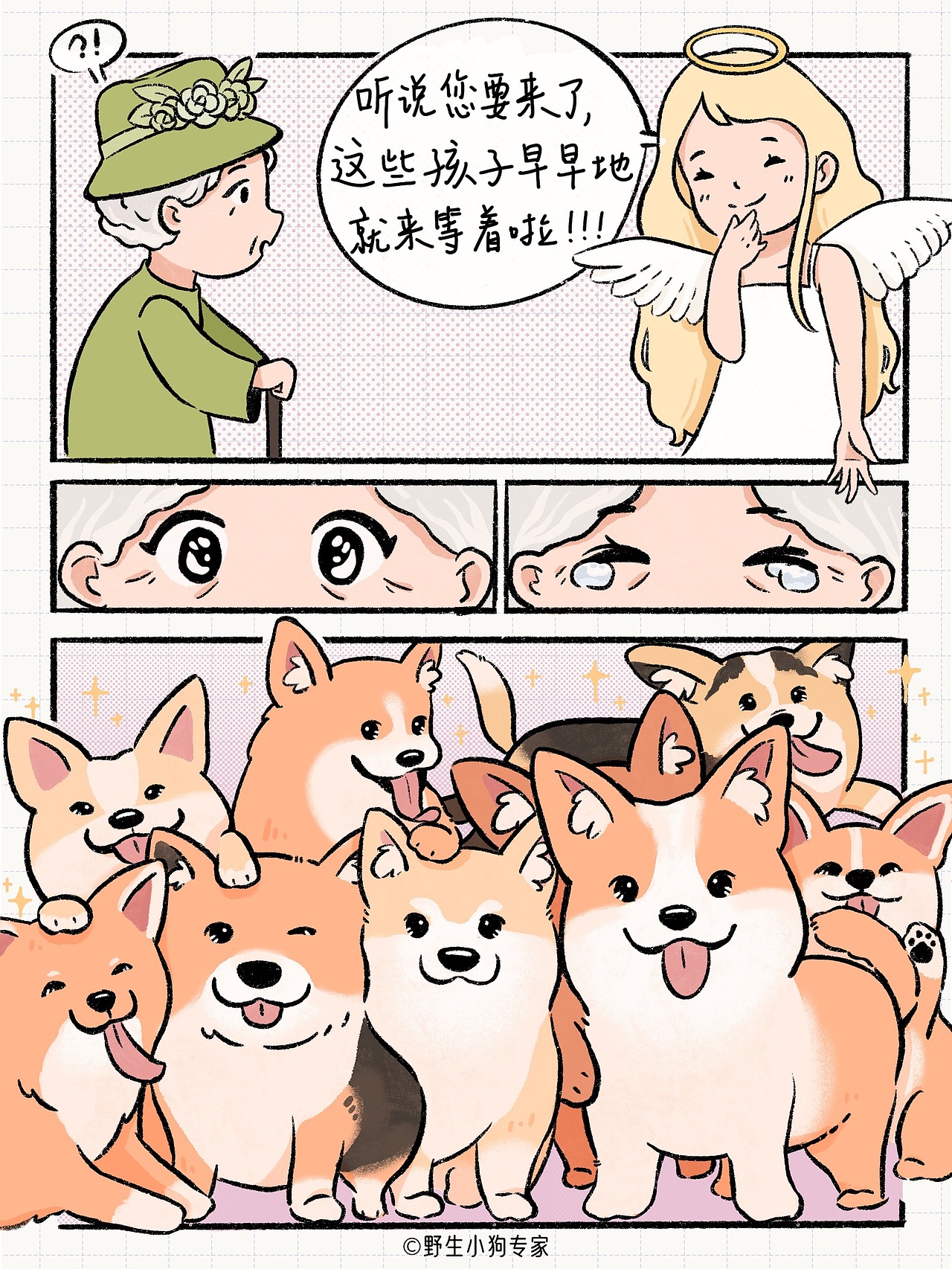 柯基犬小百科：女王与小短腿的故事（图ZMzE3MDc1MDQ0） - 短篇/格漫 - 站酷设计师北北北辰beichen原创素材 - 站酷ZCOOL
