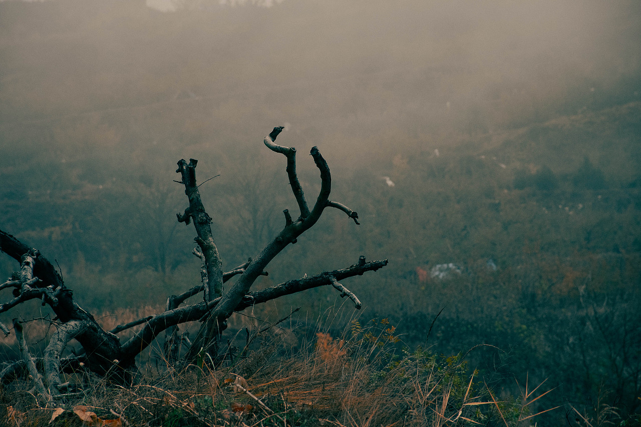 闲了拍着玩（图ZMzU3MDA0ODI0） - 风光摄影 - 站酷设计师南翊丶原创素材 - 站酷ZCOOL