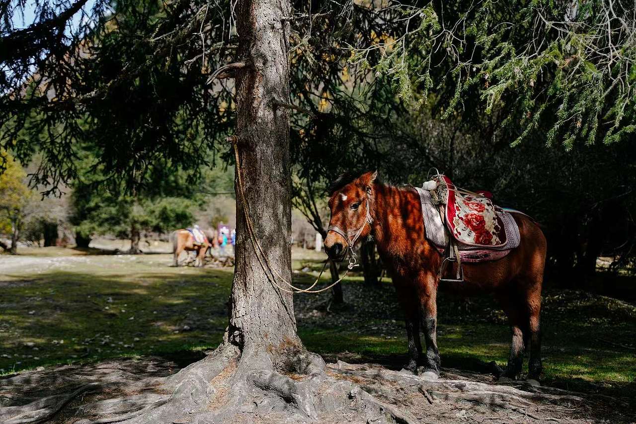 风光（图ZMzU3NjI5Nzk2） - 风光摄影 - 站酷设计师税翔原创素材 - 站酷ZCOOL