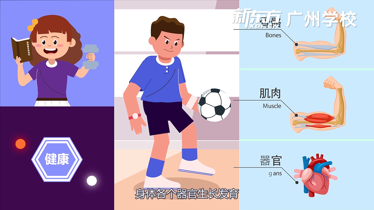 素质星球系列MG动画02