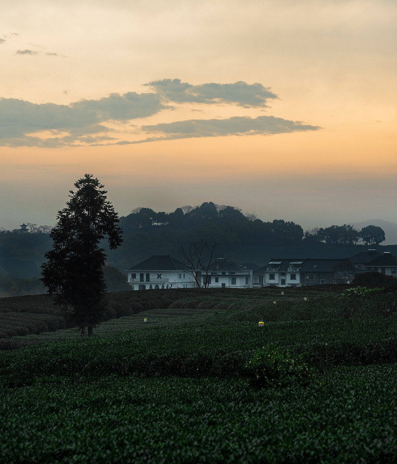 龙坞茶镇（图ZMzIzODYxODg0） - 其他摄影 - 站酷设计师Dmoo1原创素材 - 站酷ZCOOL