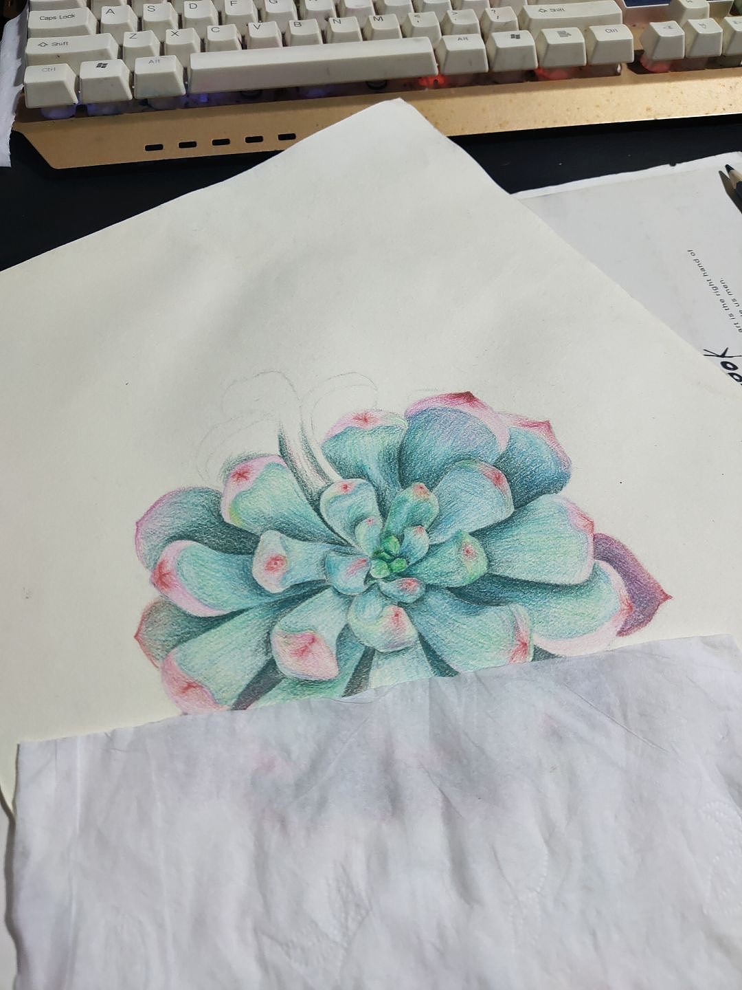 自己养多肉画自己的多肉（图ZMzEwMTQ1MjQw） - 绘画 - 站酷设计师热爱l原创素材 - 站酷ZCOOL