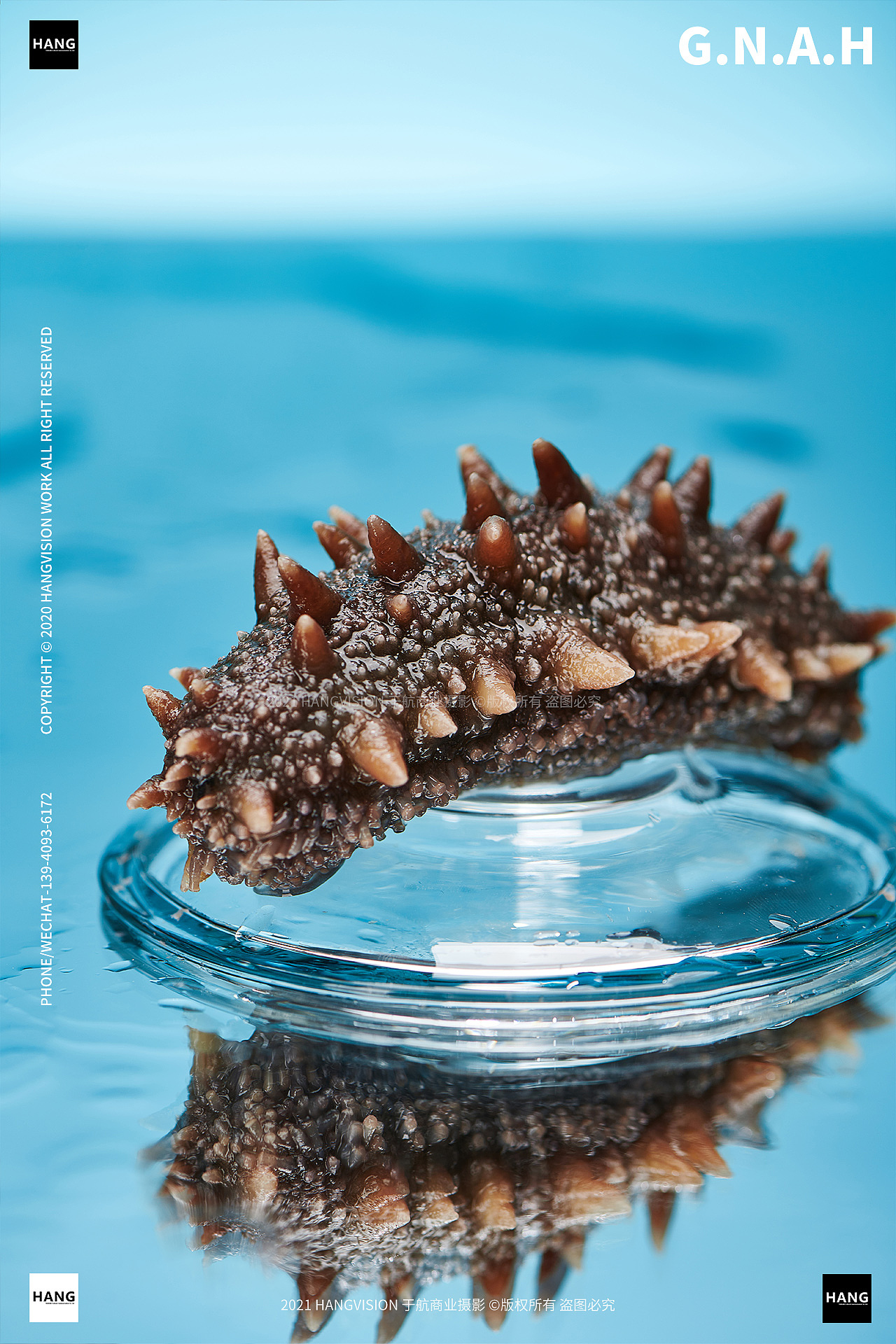 大连海参拍摄 即食海参 野生海参 海鲜拍摄