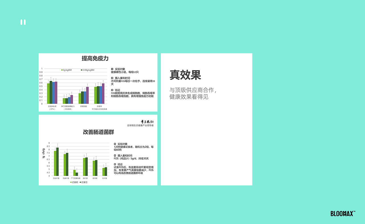壹鼎视觉工厂：BLOOMMAX项目全案（图ZMzAwNDc5Nzc2） - 品牌 - 站酷设计师有见视觉原创素材 - 站酷ZCOOL