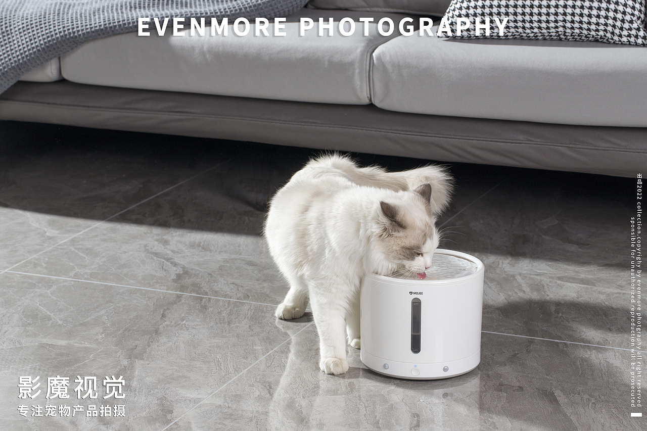 猫咪饮水机|宠物产品拍摄