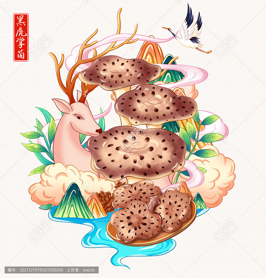 黑虎掌菌插画手绘