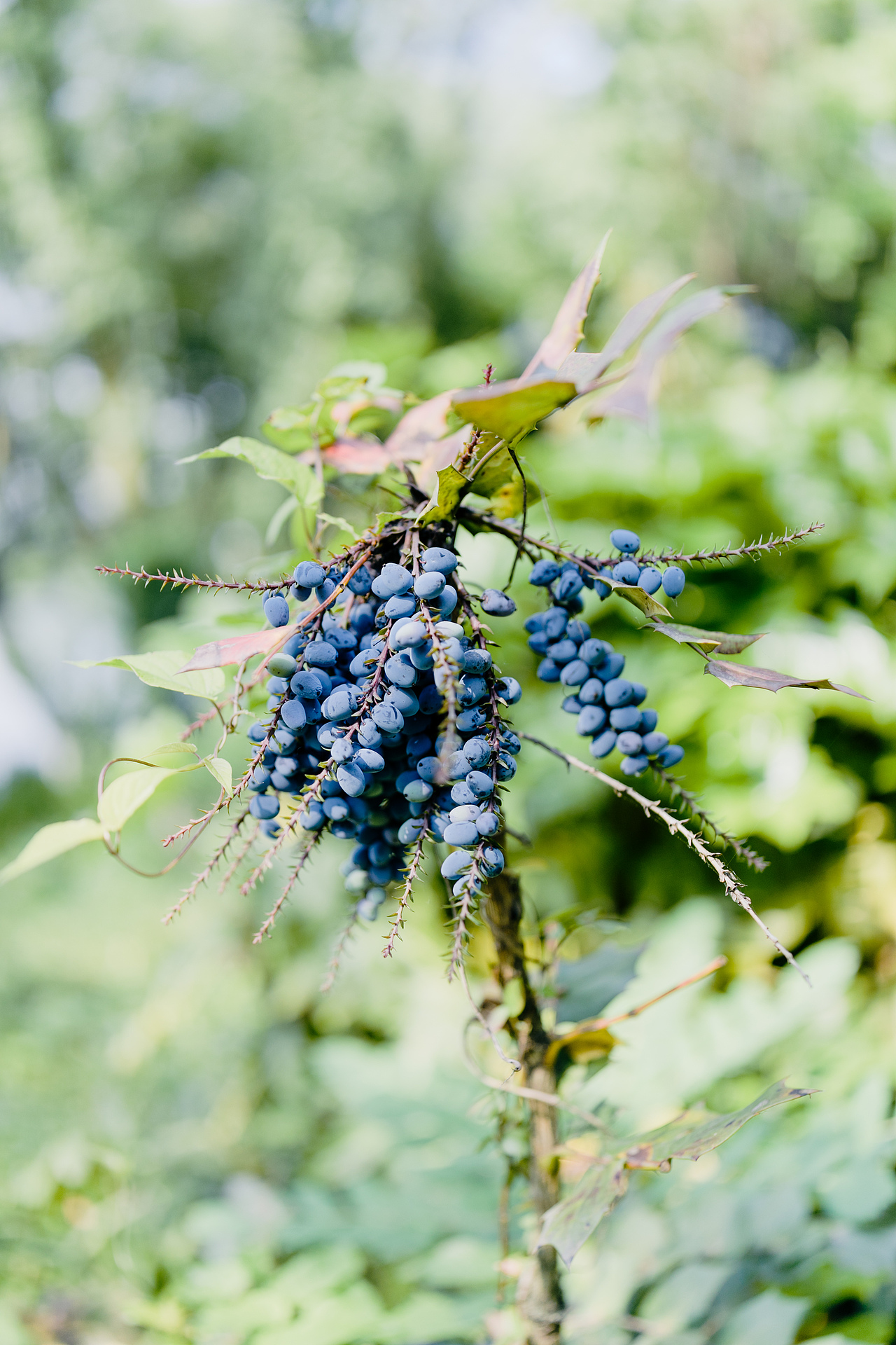 我的五一如此开篇