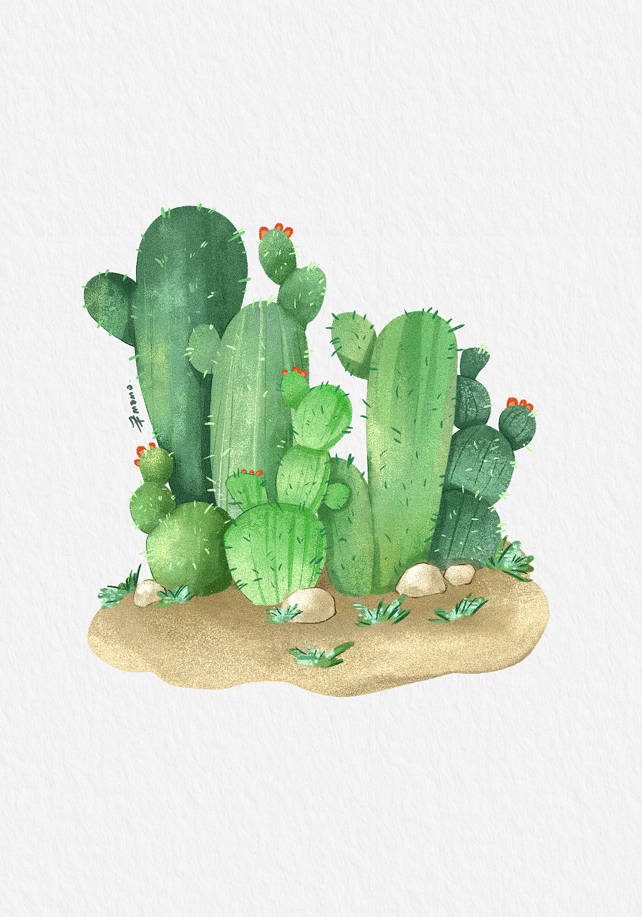 procreate水彩插画·一组沙漠仙人掌