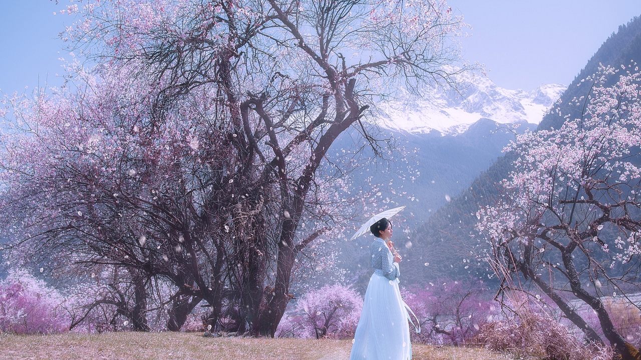 林芝桃花（图ZMzYxNzk0OTQw） - 人像摄影 - 站酷设计师摄影师爱良安原创素材 - 站酷ZCOOL