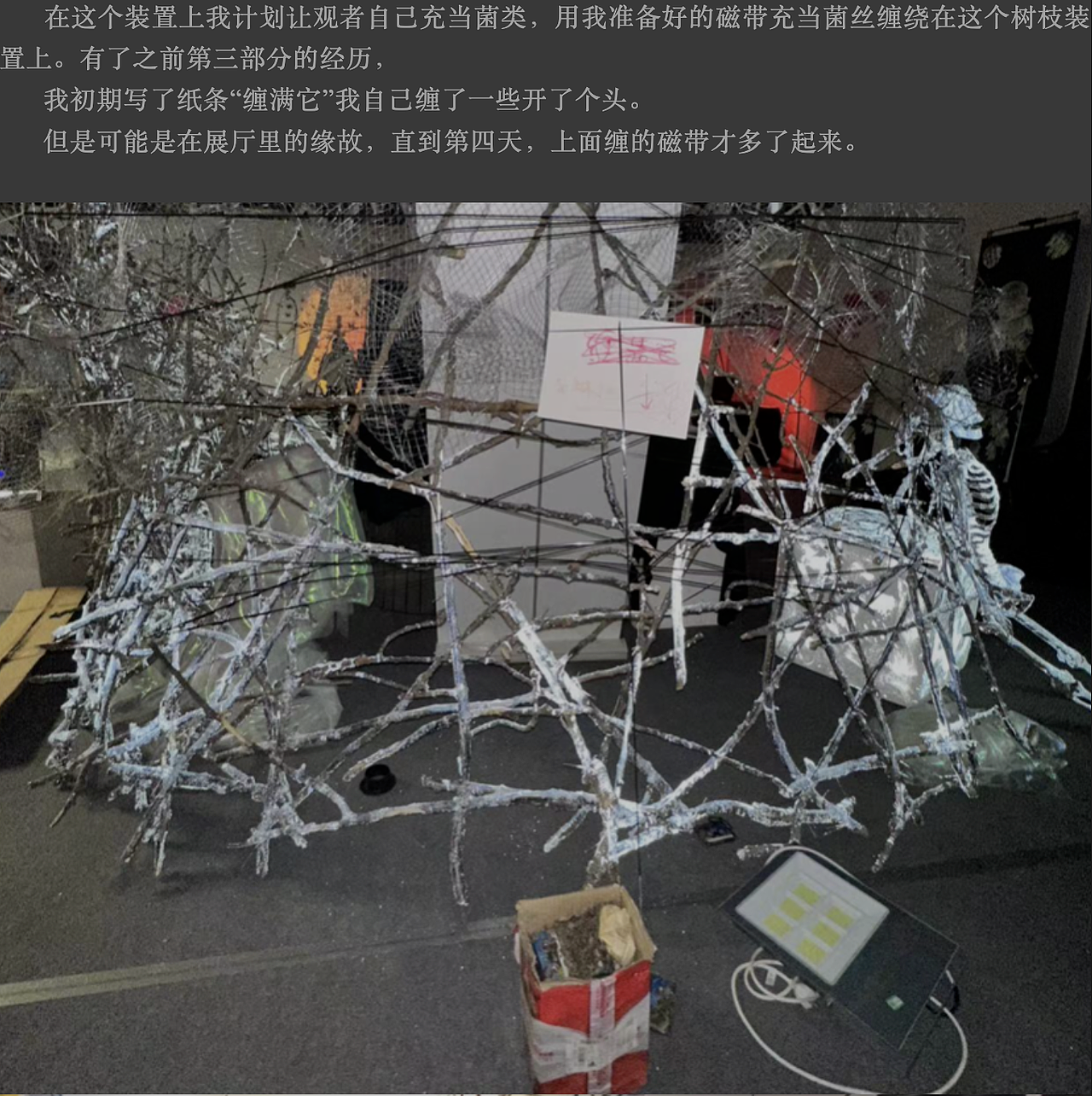 #2023 青春答卷#《IF YOU ASK ME》