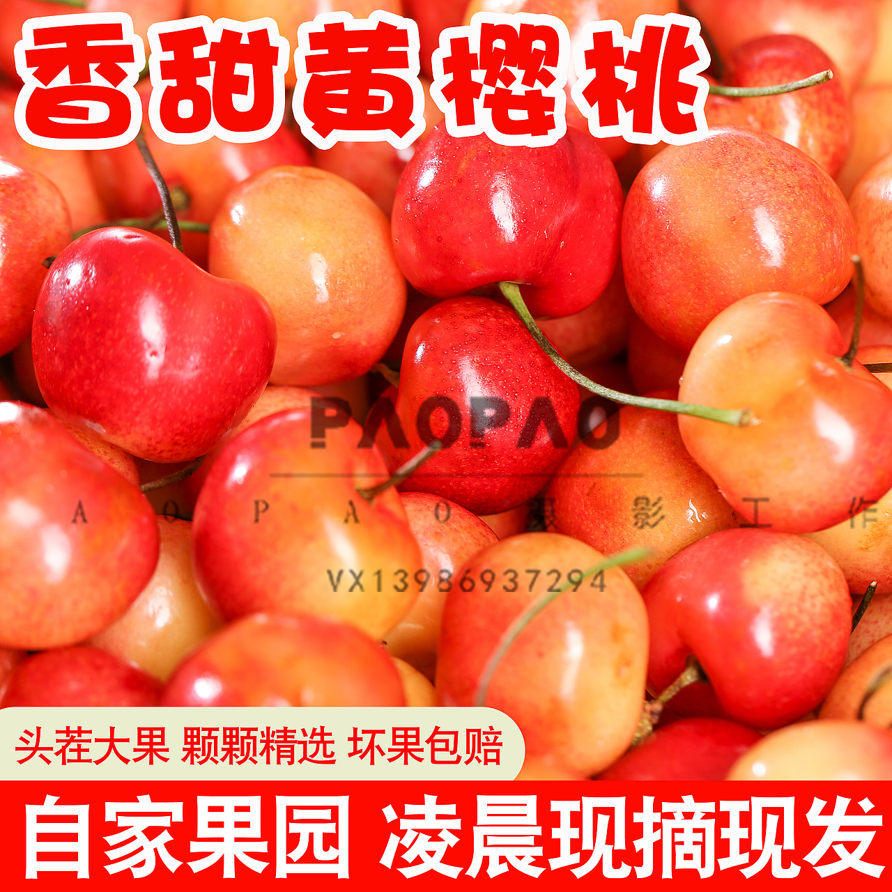 大樱桃主图，详情，视频全套高清素材可商用