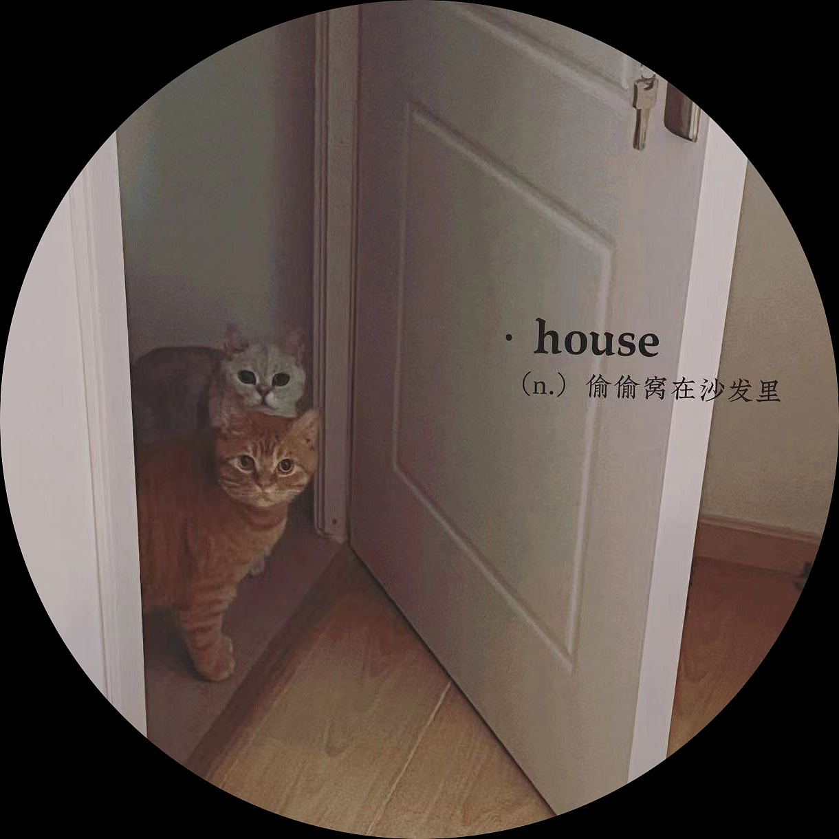 《凤凰城乐队》（图ZMzQ5MTYzMDky） - 游戏原画 - 站酷设计师土豆毅原创素材 - 站酷ZCOOL