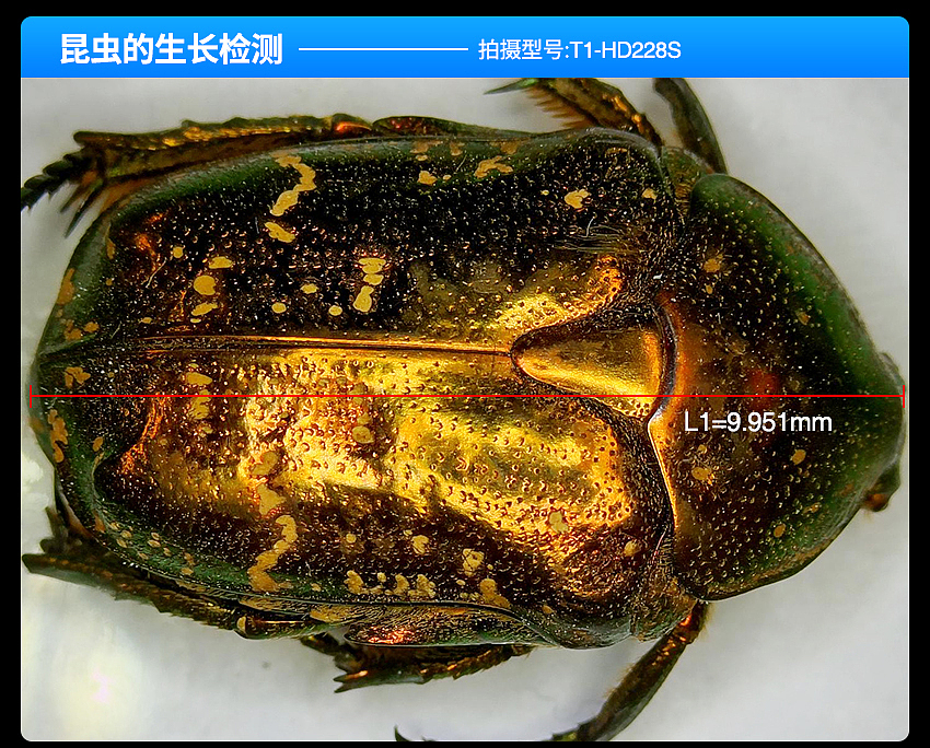 实验级体视显微镜详情页设计（图ZMzUxMTIxMzcy） - 工业用品/机械 - 站酷设计师丹尼男孩原创素材 - 站酷ZCOOL