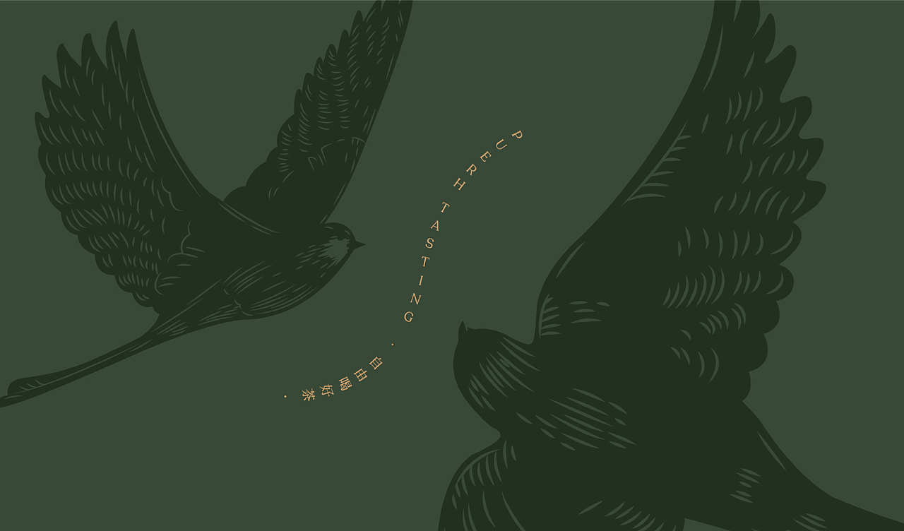 普洱茶年轻化品牌设计(双陈畅品)