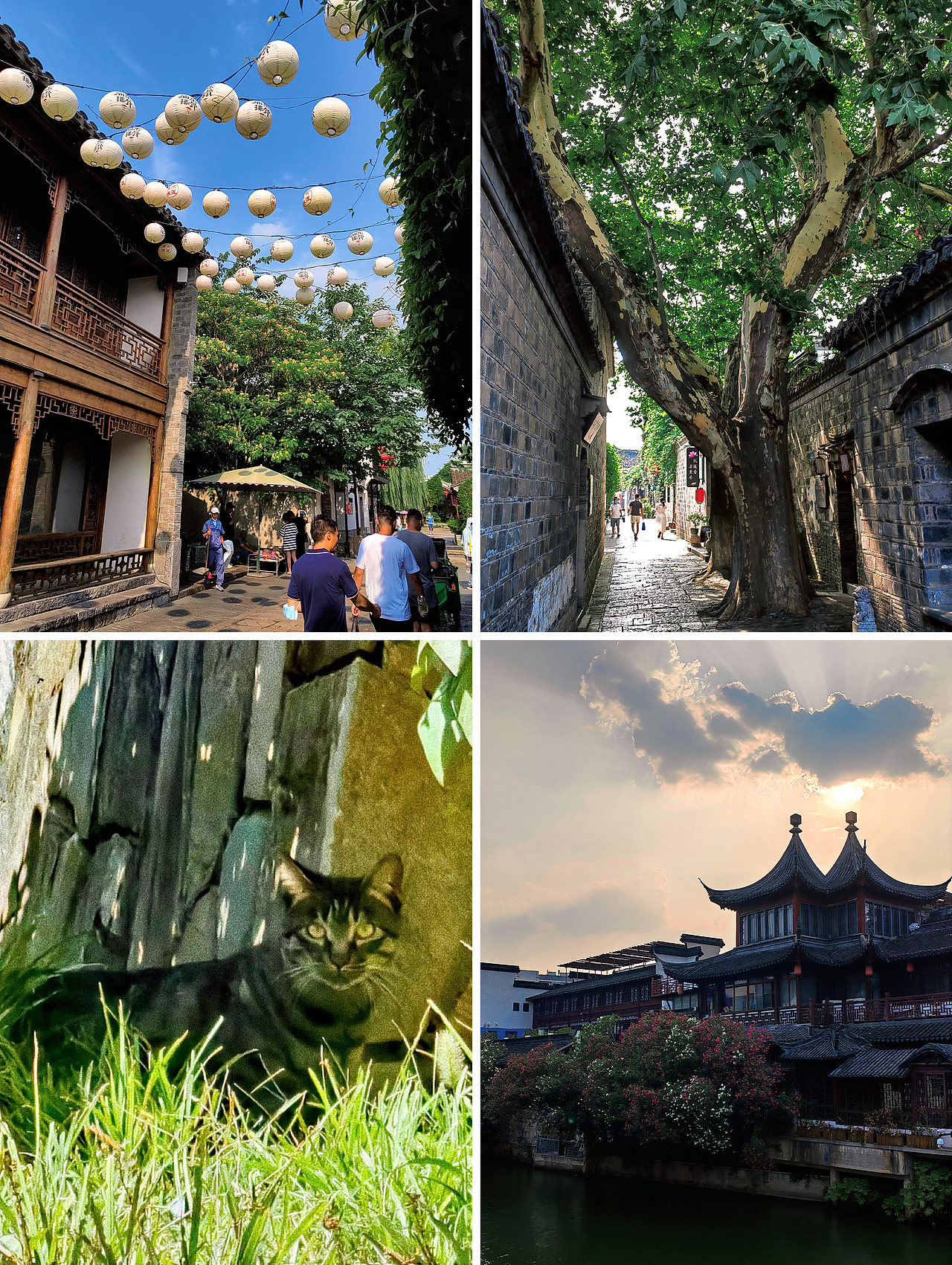 小梦的随手拍-第4期（图ZMzIwMDQ4NTcy） - 风光摄影 - 站酷设计师梦梦小梦12原创素材 - 站酷ZCOOL