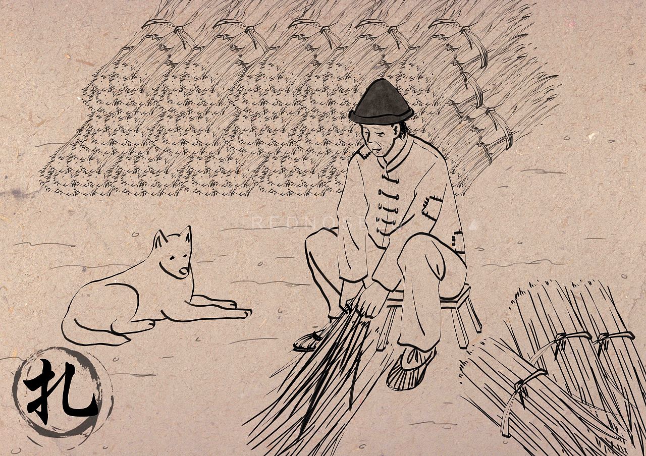 南池村村史馆合作项目—传统文化大草纸制作过程插画(图ZMzA3ODY5Mzc2) - 商业插画 - 站酷设计师晒太阳的鹿咂原创素材 - 站酷ZCOOL