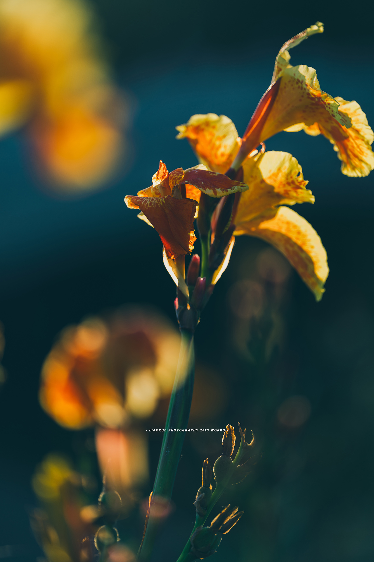 旅行摄影流水帐|镜头里的秋（图ZMzUzMDI5MjAw） - 人文/纪实摄影 - 站酷设计师雪小廖原创素材 - 站酷ZCOOL