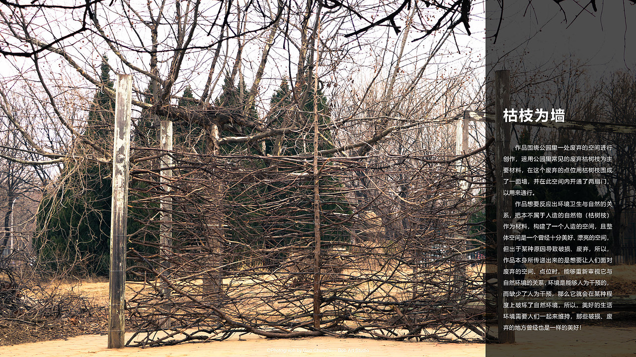 《枯枝为墙》