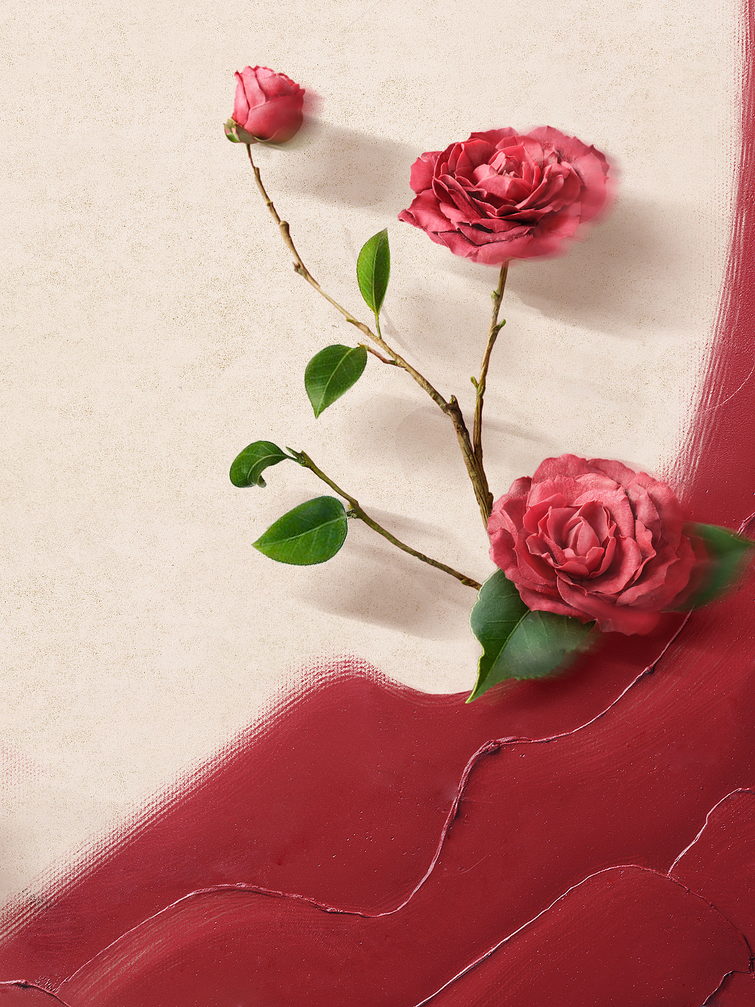 美妆拍摄之料体-1