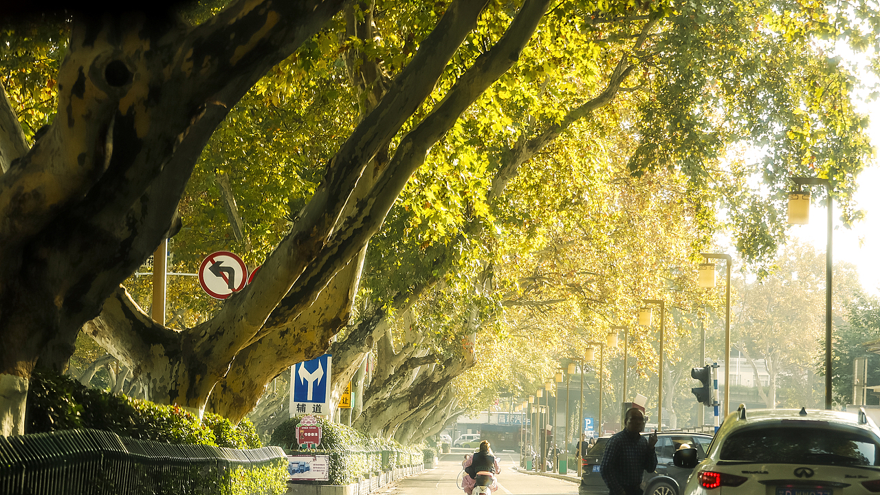 2023秋·周末南京城